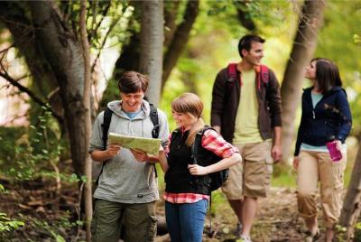 Parque Nacional Los Haitises Paseo en barco + Senderismo 2 Horas 