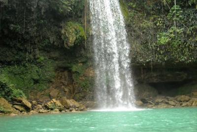 Tour privado de 7 horas por la naturaleza de la selva tropical de