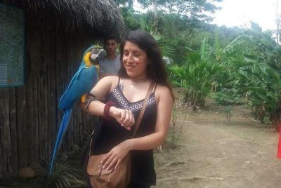 Lugares turísticos en Baños Cosas que hacer en Baños 179057