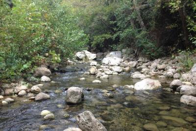 Viaje de senderismo por el río Viaje de senderismo por el río