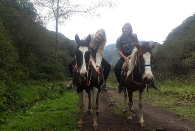 3 horas de experiencia en paseos a caballo en grupos pequeños en 