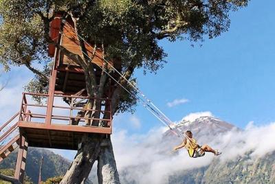 Casa Del Árbol - Columpio del Fin del Mundo - Canopy de 100 m - T