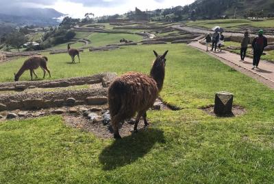 Lo mejor de Ingapirca: una aventura para el ecuatoriano Machu Pic