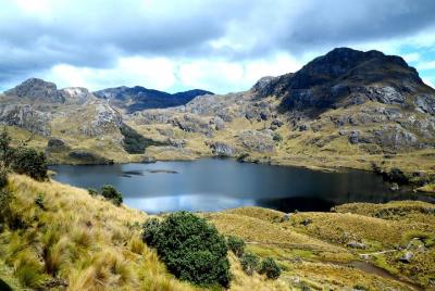 Aventura privada de senderismo en el Parque Nacional El Cajas Aventura privada de senderismo en el Parque Nacional El Cajas