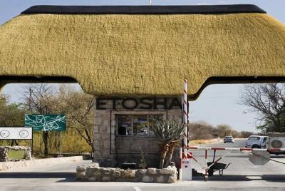 Safari guiado de 3 días en el Parque Nacional Etosha Safari de ca Safari guiado de 3 días en el Parque Nacional Etosha Safari de ca