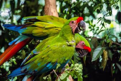 Visita al Zoo El Pantanal en Guayaquil