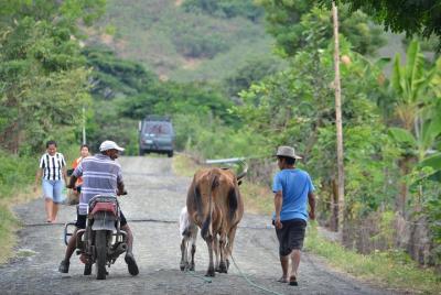 Tour en bicicleta: Los Lojas - Un secreto natural. Desde Guayaqui