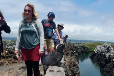 Excursión de medio día a Tintoreras desde la isla Isabela