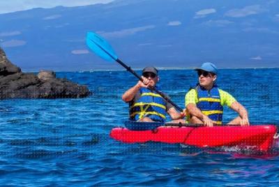Excursión en kayak desde la isla Isabela