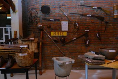 La selva tropical, alrededores y almuerzo.