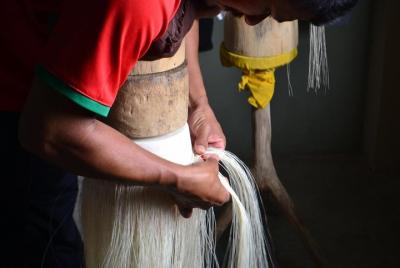 Ruta de diversidad por Manabí