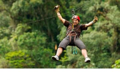 Cables de CANOPY Cables de CANOPY