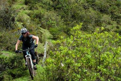 Alquiler de bicicletas de día completo en Mindo Alquiler de bicicletas de día completo en Mindo