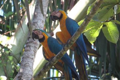 4 días en el Cuyabeno Waita Lodge