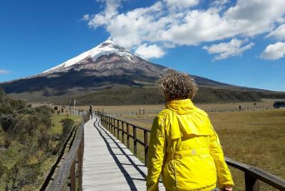 Tour de día completo al volcán Cotopaxi con todas las entradas, g