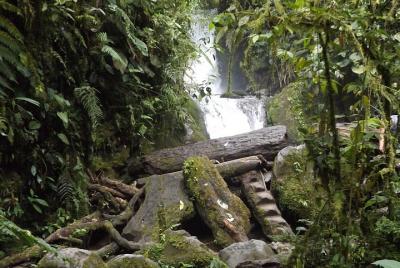 Tour semiprivado: tour de día completo de Mindo