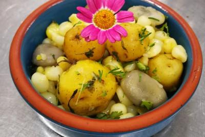 La cocina ecuatoriana en su mejor momento (Menú 2)