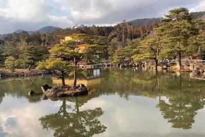 Tour de un día en Kansai