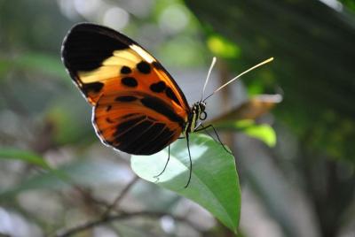 Lugares turísticos en Tena Cosas que hacer en Tena 179118