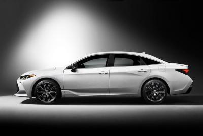 Traslado de ida desde el puerto de Alejandría a los hoteles de Al