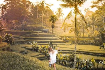 Tour privado destacado de Ubud - WIFI GRATIS