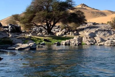 Excursión de un día a los templos de kom ombo y edfu desde aswan