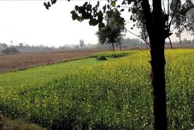 Una excursión de un día a Village Life: Worthy Experience