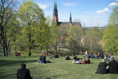 Estilo de vida sueco y visita privada a pie de Uppsala