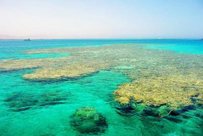 Isla de Tiran en barco desde Sharm El Sheikh Isla de Tiran en barco desde Sharm El Sheikh
