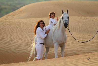 Dos horas de equitación en el desierto increíble - Sharm ElSheikh