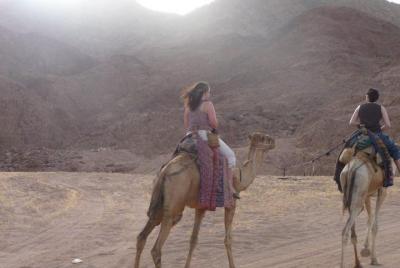Cena beduina con paseo en camello en Dahab
