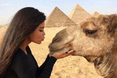 Excursión privada de medio día a las pirámides de Guiza y la esfi