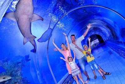 Evite las colas: entrada y visita al gran acuario de Hurghada