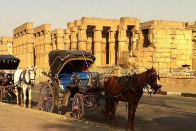Luxor City Tour en carro de caballos Luxor City Tour en carro de caballos