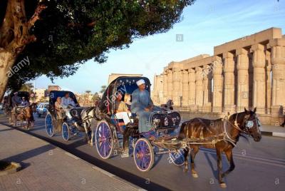 Explora la ciudad de Luxor en carro de caballos