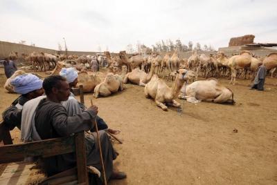 Shalateen Tour desde Marsa Alam Shalateen Tour desde Marsa Alam