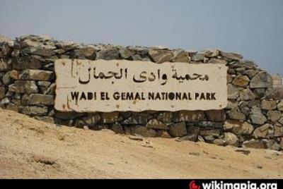 Wadi El Gemal Tours Marsa Alam