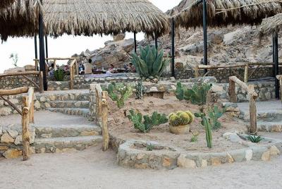  Tarde de safari de 3 horas con quad y paseo en camello - Marsa A