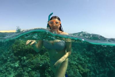 Excursión de esnórquel en Marsa Mubarak de día completo con almue