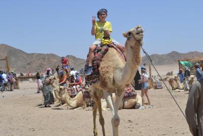 Super Safari Excursión en ATV Quad & Sunset - Marsa Allam Super Safari Excursión en ATV Quad & Sunset - Marsa Allam