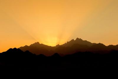 Safari de 3 horas por la mañana en quad y paseo en camello - Mars