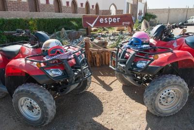  Safari de 3 horas en quad ATV con paseo en camello - Marsa Alam