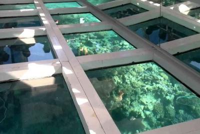 Tour en barco con fondo de cristal desde Sharm El Sheikh Tour en barco con fondo de cristal desde Sharm El Sheikh