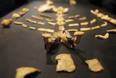 Addis Abeba - Tour de medio día por la ciudad