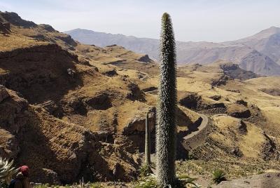 ¡Estamos listos para mostrarle Etiopía! Para obtener recuerdos im