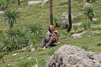 Caminata desde lalibela cuatro 1/2 día __4 días