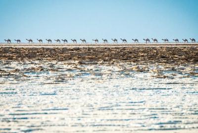 2 días de viaje a Dallol 2 días de viaje a Dallol