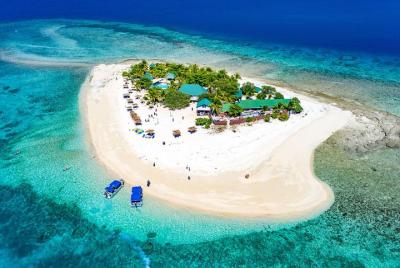 Buscando a Nemo: crucero de medio día a la Isla del Mar del Sur