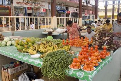 Recorrido turístico por la costa de Coral y pueblo de cerámica