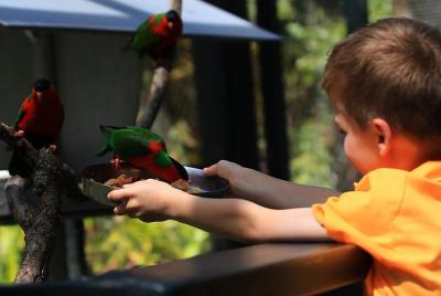 Guardabosques por un día